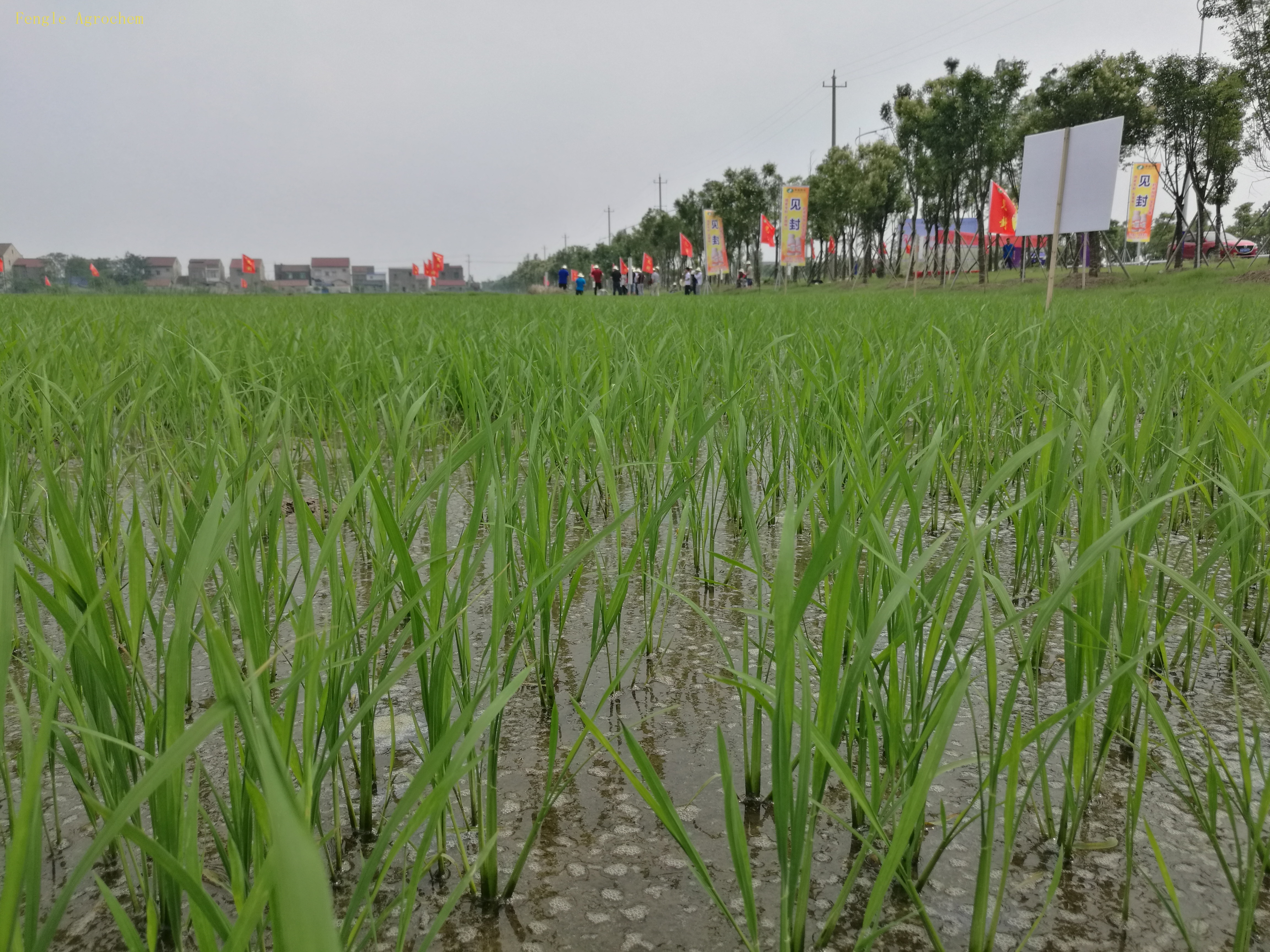 K8¿·¢¡¤(Öйú)ÌìÉúÓ®¼Ò¡¤Ò»´¥¼´·¢